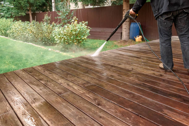 Best Solar Panel Cleaning  in Paris, TN