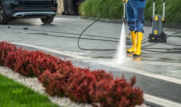 Best Playground Equipment Cleaning  in Paris, TN